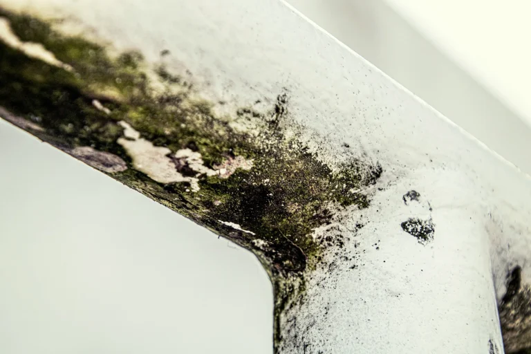 An Introduction to Awaab’s Law: What Landlords Need to Know to Stay Compliant