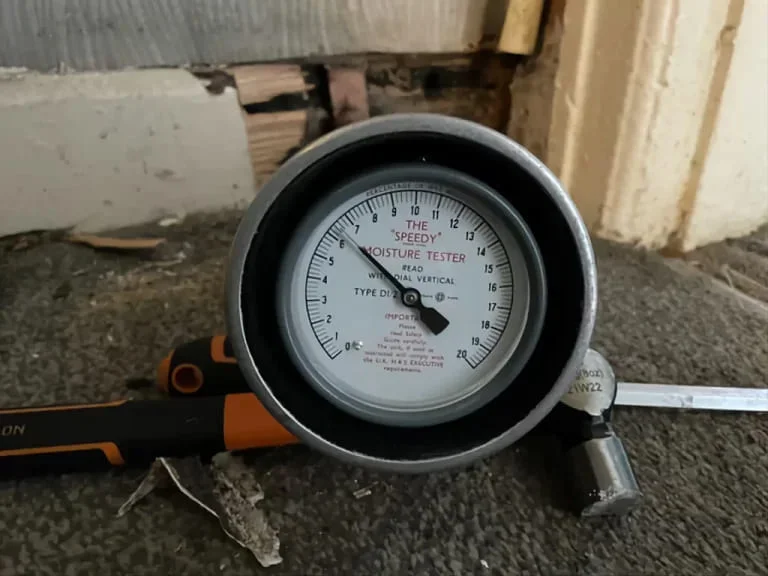 Moisture tester used in a housing disrepair survey